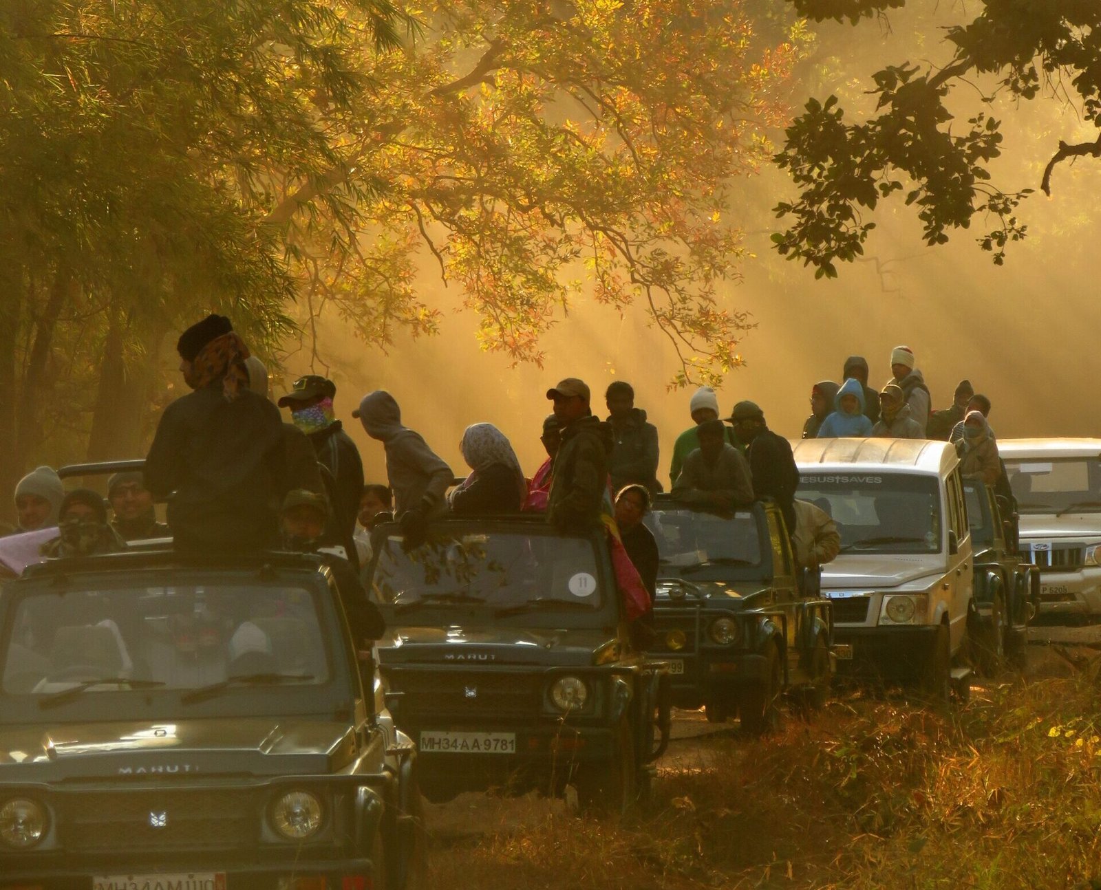 dandeli boat safari